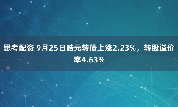 思考配资 9月25日皓元转债上涨2.23%，转股溢价率4.63%