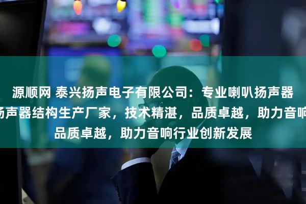 源顺网 泰兴扬声电子有限公司：专业喇叭扬声器,低音扬声器,扬声器结构生产厂家，技术精湛，品质卓越，助力音响行业创新发展