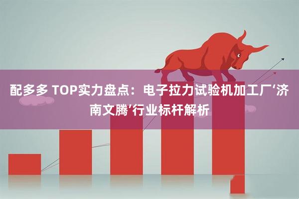 配多多 TOP实力盘点：电子拉力试验机加工厂‘济南文腾’行业标杆解析